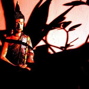 Meet your Posher, Eliot